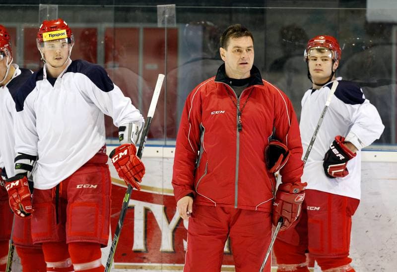 Ice Hockey. Poland national team. Training. 14.04.2015