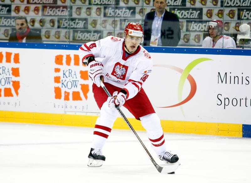 Ice Hockey. IIHF World Championship Division 1A. Poland - Japan. 20.04.2015