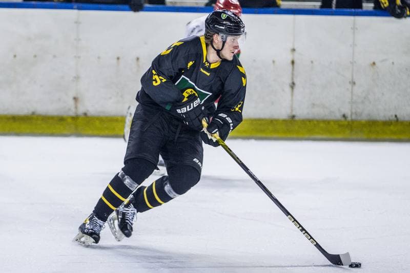 Ice Hockey. PHL. Zaglebie Sosnowiec - GKS Katowice. 25.01.2022