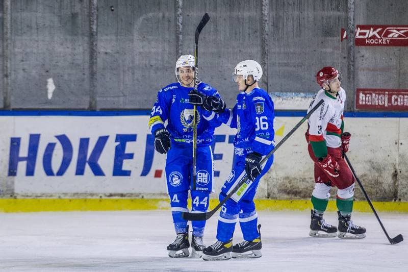 Ice Hockey. PHL. Zaglebie Sosnowiec - Re-Plast Unia Oswiecim. 04.01.2022