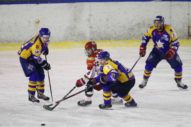 Ice Hockey. Polska Hokej Liga. Zaglebie Sosnowiec - TatrySki Podhale Nowy Targ. 25.11.2018