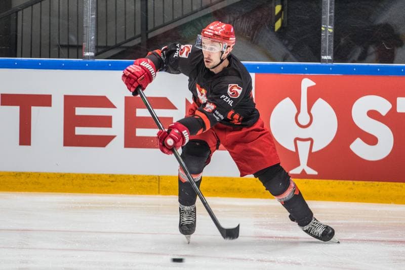 Ice Hockey. Poland national team. Training. 24.04.2022