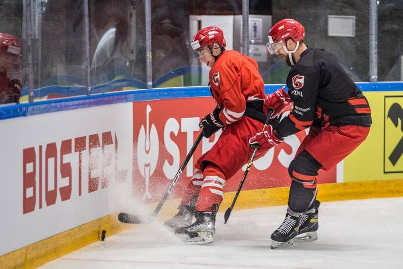 Ice Hockey. Poland national team. Training. 24.04.2022