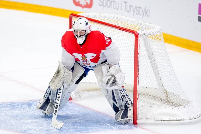 Ice Hockey. World Championship Division 1 Group B. Serbia - Japan. 26.04.2022