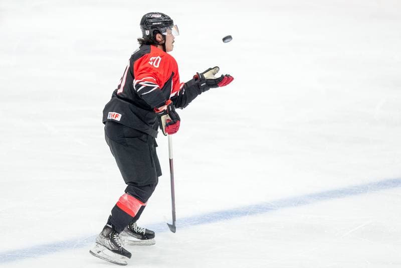 Ice Hockey. World Championship Division 1 Group B. Serbia - Japan. 26.04.2022
