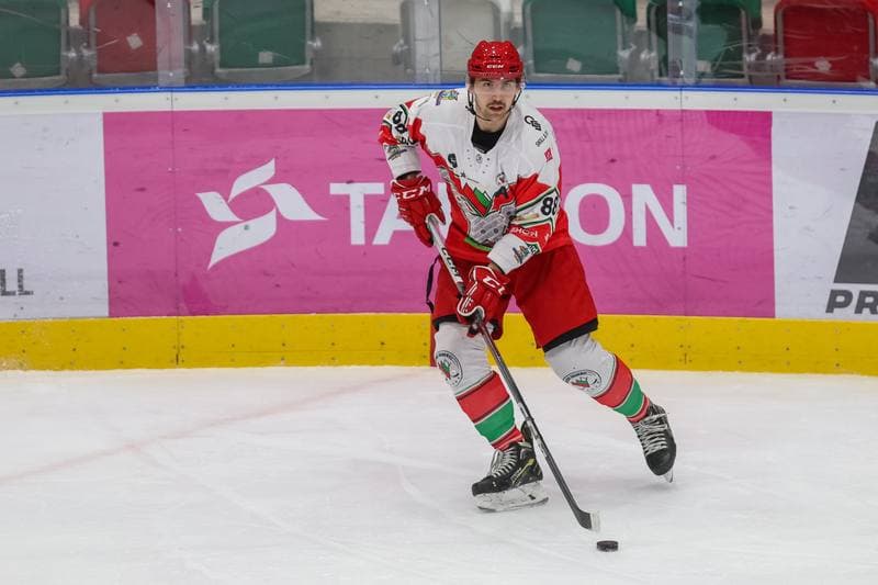 Ice Hockey. Tauron Hokej Liga. Zaglebie Sosnowiec - Comarch Cracovia. 19.11.2023