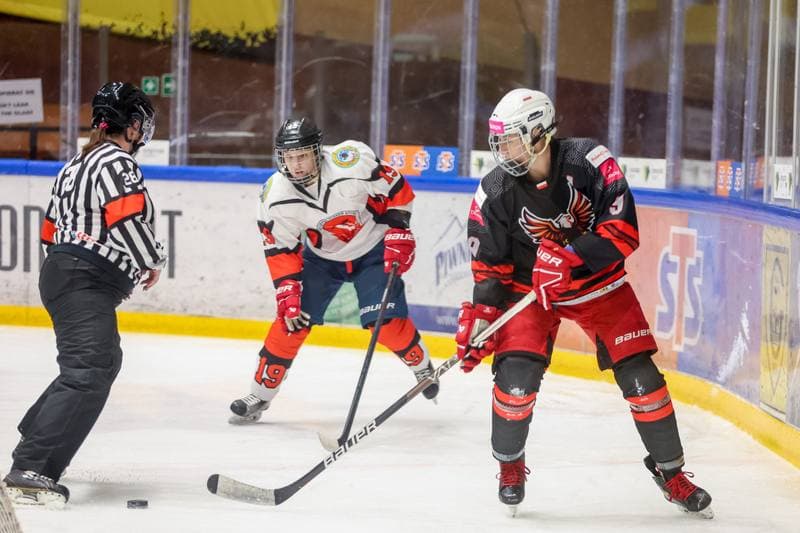 Ice Hockey. EWHL. Tauron Metropolia Silesia - Aisulu Almaty. 26.11.2023