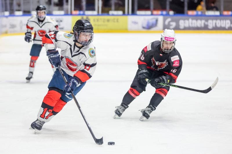 Ice Hockey. EWHL. Tauron Metropolia Silesia - Aisulu Almaty. 26.11.2023