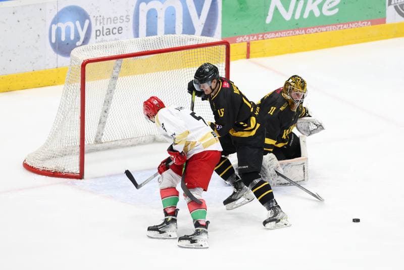 Ice Hockey. Tauron Hokej Liga. Zaglebie Sosnowiec - GKS Katowice. 21.01.2024