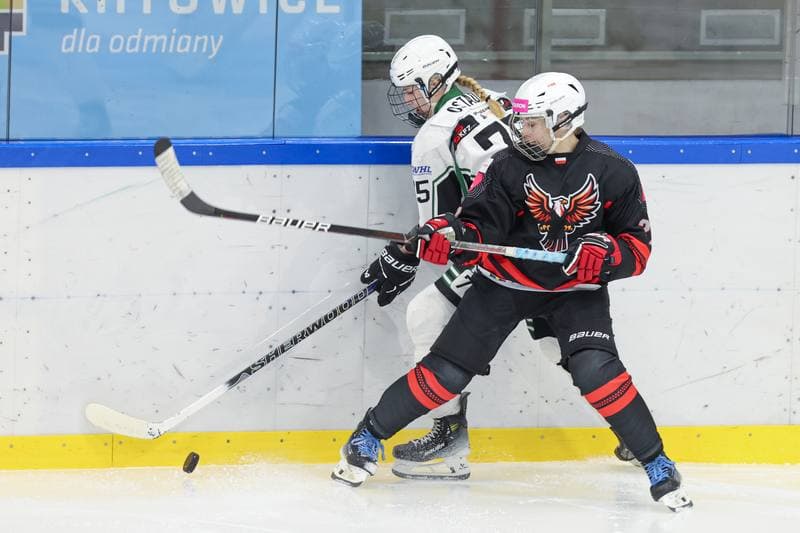 Ice Hockey. EWHL. Tauron Metropolia Silesia - EC Graz Huskies. 02.03.2024