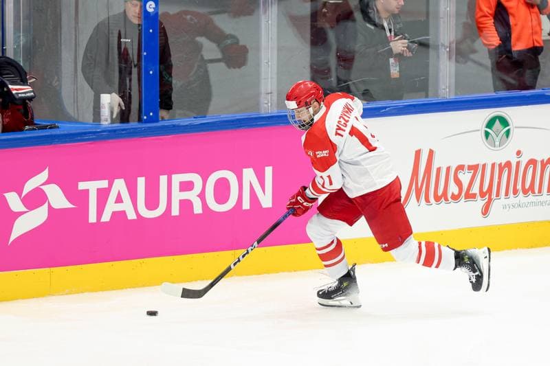 Ice Hockey. Friendly Match. Poland - Hungary. 12.04.2024