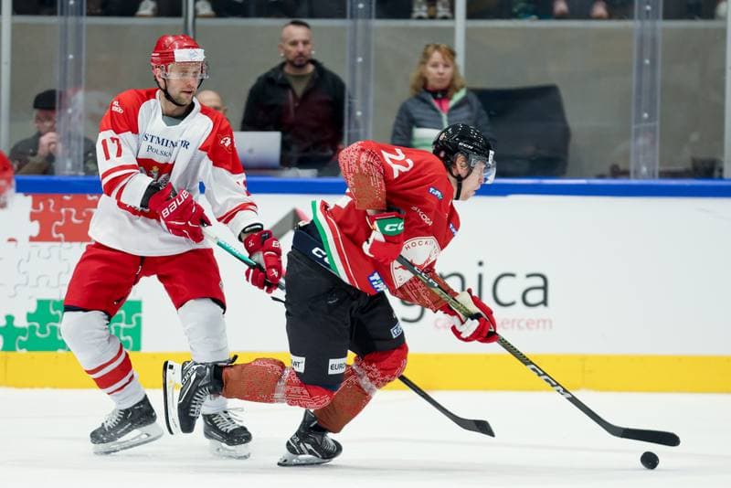 Ice Hockey. Friendly Match. Poland - Hungary. 12.04.2024