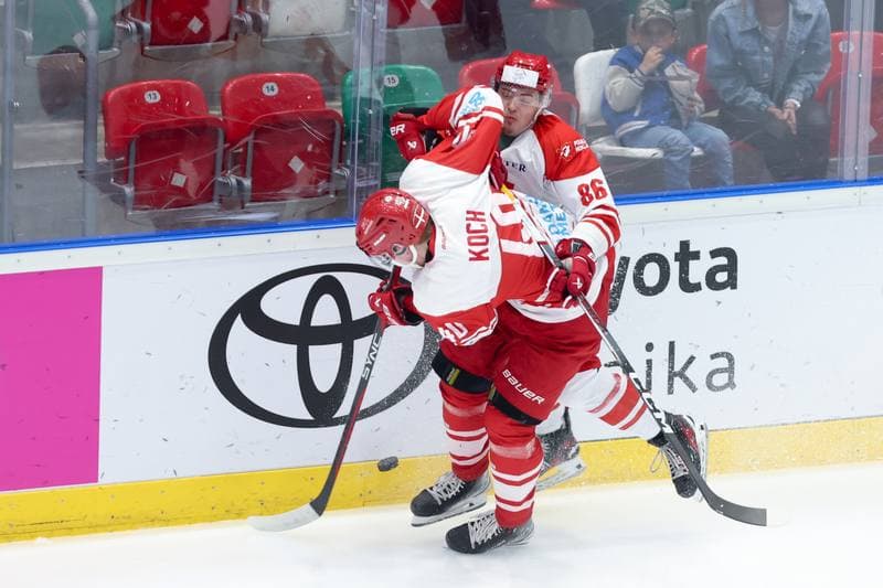 Ice Hockey. Friendly Match. Poland - Denmark. 07.05.2024
