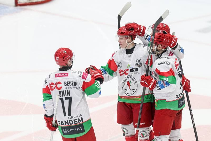 Ice Hockey. Tauron Hokej Liga. EC Bedzin Zaglebie Sosnowiec - KH Energa Torun. 19.01.2025