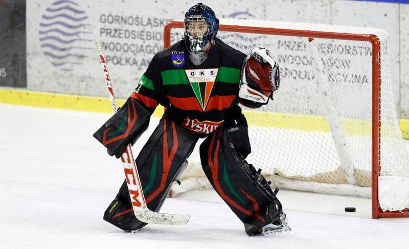 Ice Hockey. Polska Hokej Liga. HC GKS Katowice - GKS Tychy. 14.11.2014