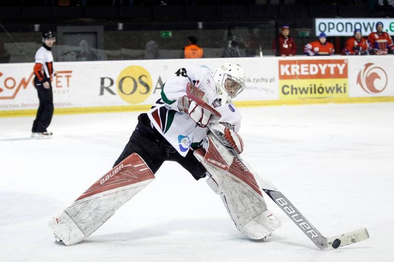 Ice Hockey. Polska Hokej Liga. GKS Tychy - Tempish Polonia Bytom. 07.03.2017