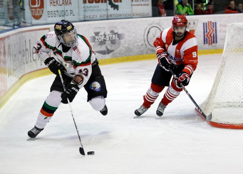 Ice Hockey. Polish Hockey League. GKS Tychy - Comarch Cracovia. 24.03.2016