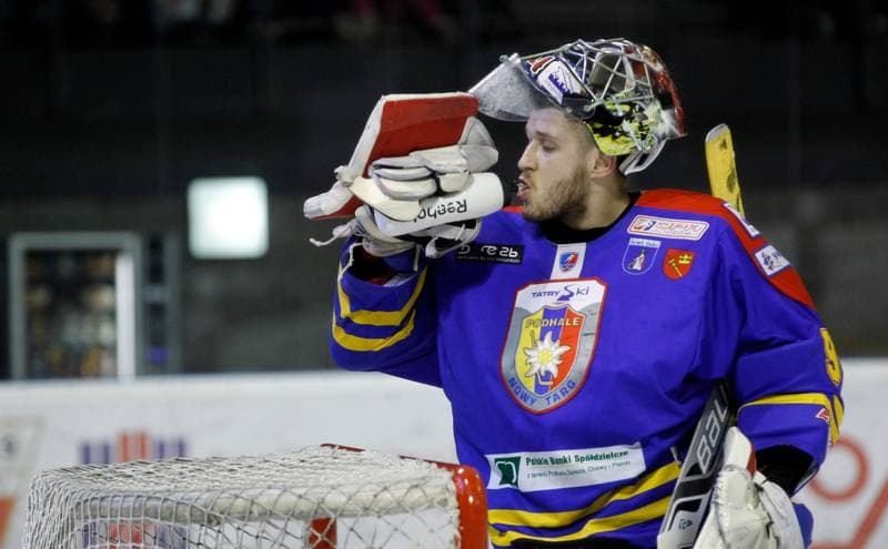 Ice Hockey. Polska Hokej Liga. GKS Tychy - Tatryski Podhale Nowy Targ. 29.02.2016