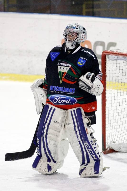 Ice Hockey. PLHK. Polonia Bytom - Atomowki Tychy. 27.01.2017