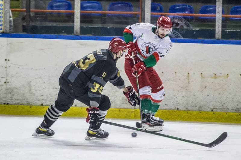 Ice Hockey. PHL. Zaglebie Sosnowiec - Comarch Cracovia. 04.12.2020