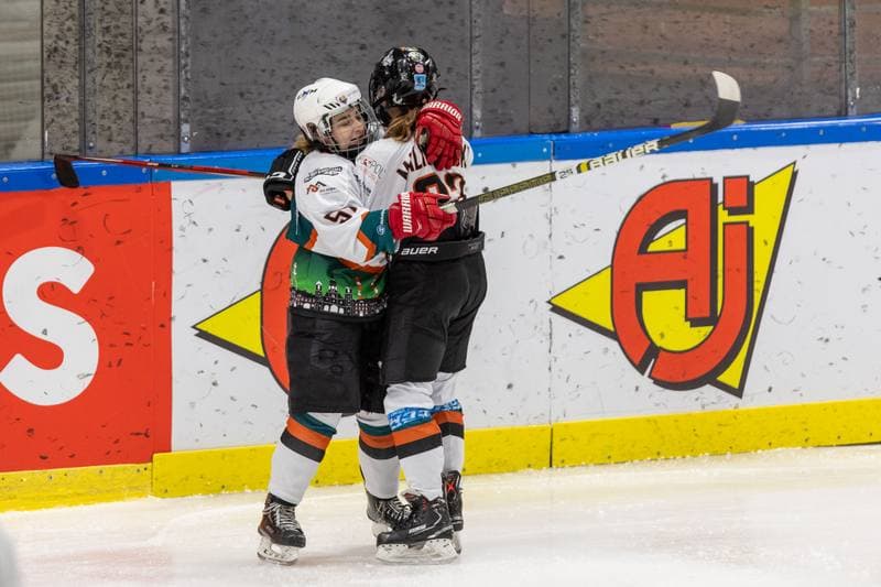 Ice Hockey. PLHK. Kojotki Naprzod Janow - BS Polonia Bytom. 09.11.2022