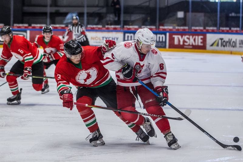 Ice Hockey. International Friendly. Poland U20 - Hungary U20. 08.04.2021
