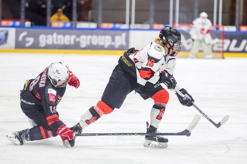 Ice Hockey. EWHL. Tauron Metropolia Silesia - Aisulu Almaty. 26.11.2023
