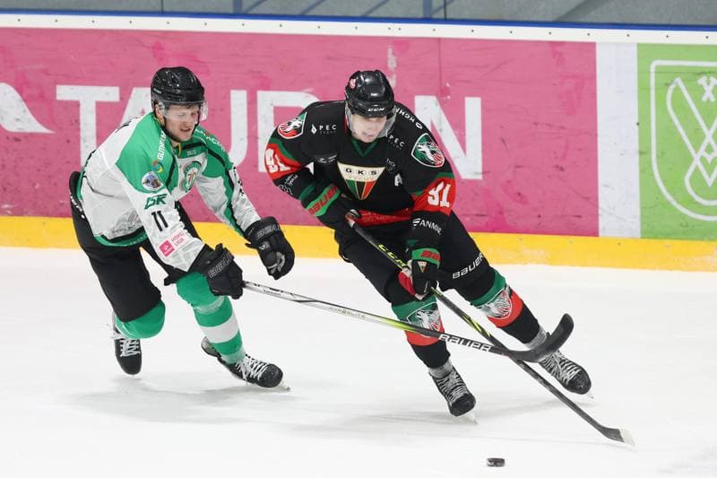 Ice Hockey. Tauron Hokej Liga. JKH GKS Jastrzebie - GKS Tychy. 14.01.2024