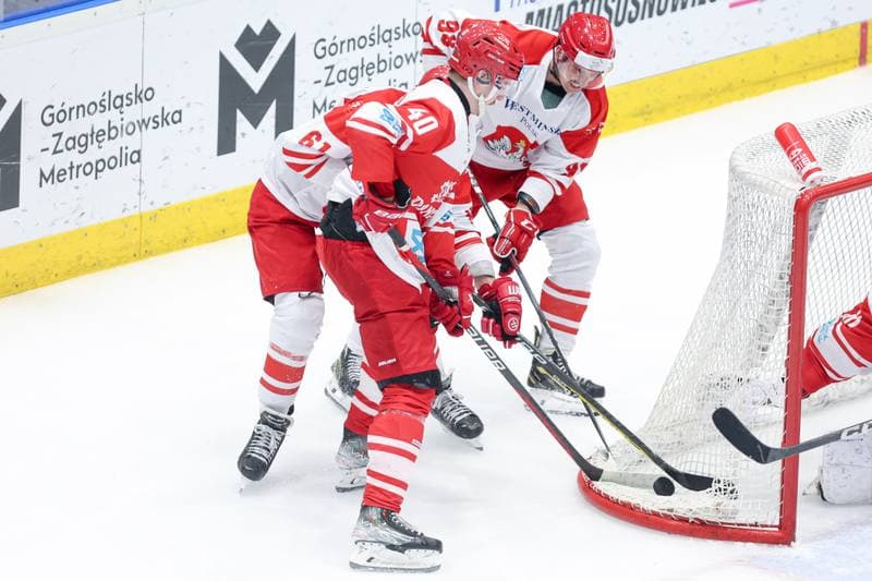 Ice Hockey. Friendly Match. Poland - Denmark. 07.05.2024