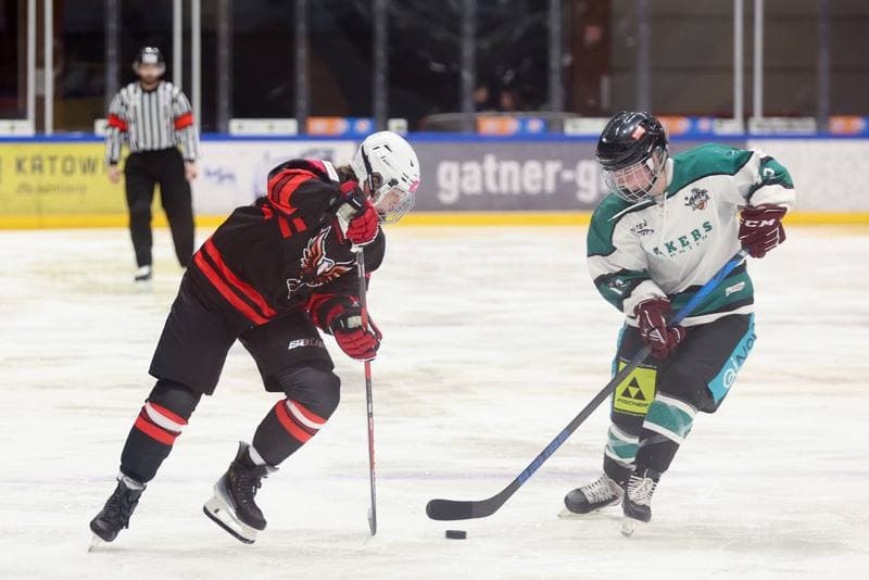 Ice Hockey. EWHL. Tauron Metropolia Silesia - KEHV Lakers. 03.02.2024