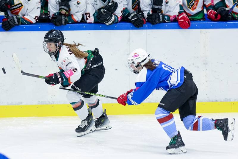 Ice Hockey. Tauron Liga. Kojotki Naprzod Janow - Stoczniowiec Gdansk. 24.02.2024