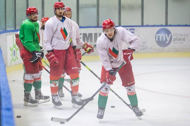 Ice Hockey. Zaglebie Sosnowiec. Training. 02.08.2022