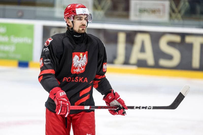 Ice Hockey. Poland national team. Training. 03.11.2024