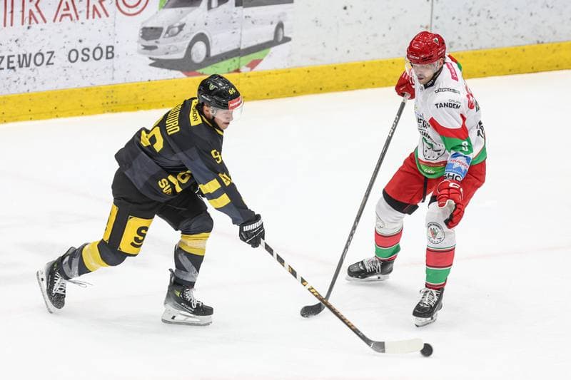 Ice Hockey. Tauron Hokej Liga. EC Bedzin Zaglebie Sosnowiec - GKS Katowice. 01.12.2024