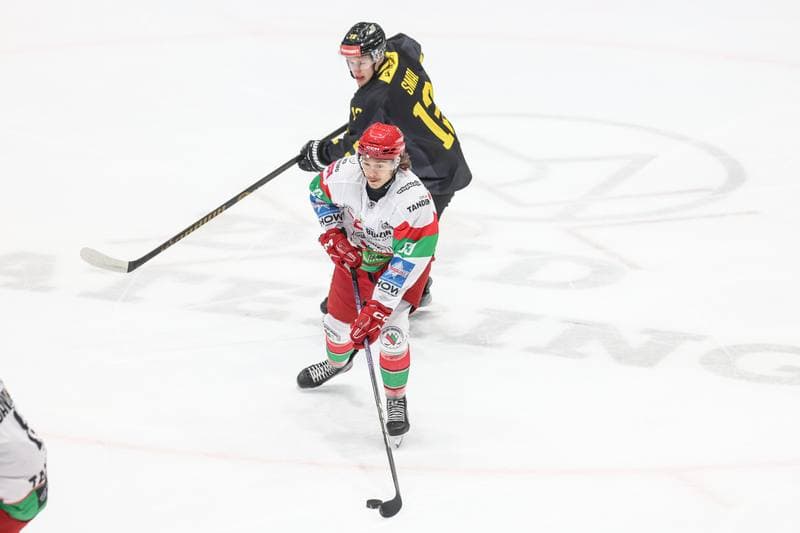 Ice Hockey. Tauron Hokej Liga. EC Bedzin Zaglebie Sosnowiec - GKS Katowice. 01.12.2024