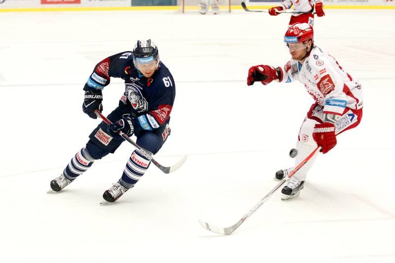 Ice Hockey. Tipsport Extraliga. Ocelari Trinec - Bili Tygri Liberec. 05.02.2017