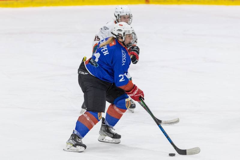 Ice Hockey. PLHK. Kojotki Naprzod Janow - BS Polonia Bytom. 09.11.2022