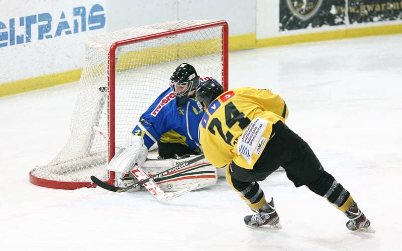 Ice Hockey. Polska Hokej Liga. HC GKS Katowice - Orlik Opole. 27.01.2015
