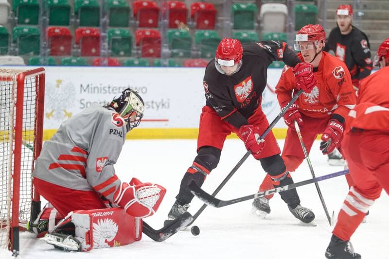 Ice Hockey. Poland national team. Training. 30.04.2024