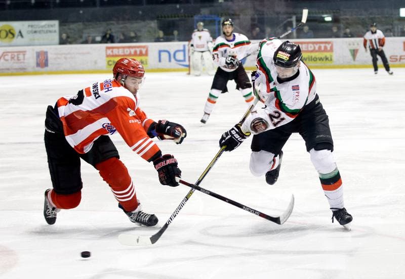 Ice Hockey. Polish Hockey League. GKS Tychy - Comarch Cracovia. 24.03.2016