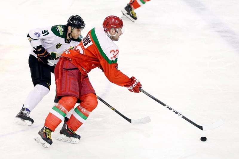 Ice Hockey. I Liga. Naprzod Janow - Zaglebie Sosnowiec. 12.03.2017