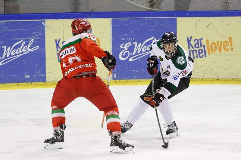 Ice Hockey. I Liga. Naprzod Janow - Zaglebie Sosnowiec. 12.03.2017