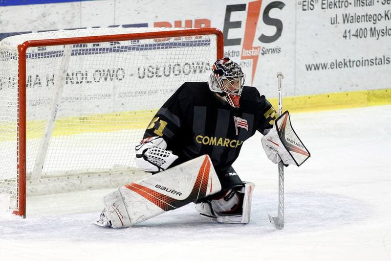 Ice Hockey. Polska Hokej Liga. Anteo Naprzod Janow - Comarch Cracovia Krakow. 19.01.2018