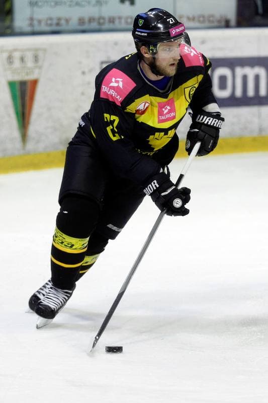 Ice Hockey. Polska Hokej Liga. GKS Tychy - Tauron KH GKS Katowice. 21.03.2018