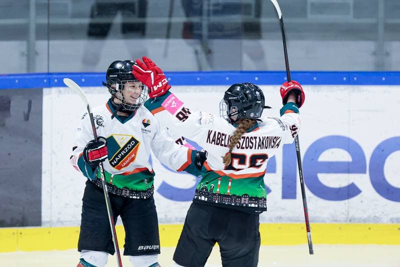 Ice Hockey. Tauron Liga. Kojotki Naprzod Janow - Stoczniowiec Gdansk. 24.02.2024