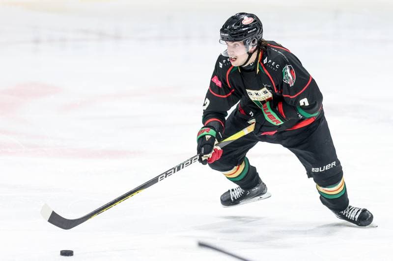 Ice Hockey. Tauron Hokej Liga. JKH GKS Jastrzebie - GKS Tychy. 20.10.2024