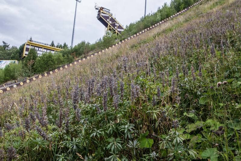 Ski Jumping. Certak. 01.08.2019