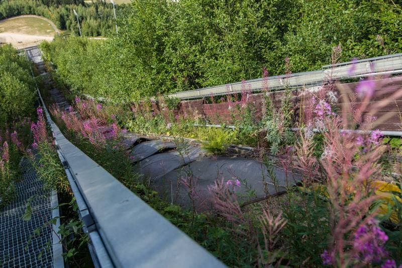 Ski Jumping. Certak. 01.08.2019