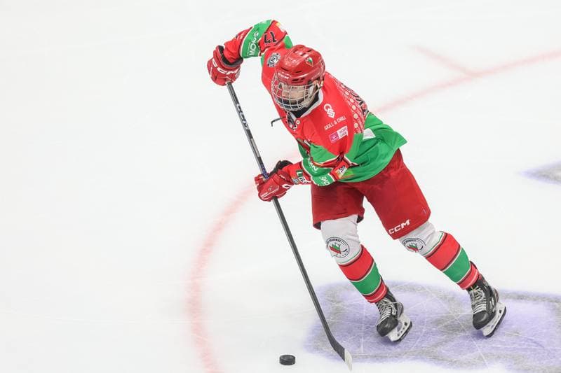 Ice Hockey. Tauron Hokej Liga. Zaglebie Sosnowiec - Marma Ciarko STS Sanok. 17.09.2023