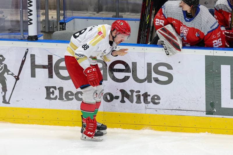 Ice Hockey. Tauron Hokej Liga. Zaglebie Sosnowiec - Marma Ciarko STS Sanok. 23.02.2024